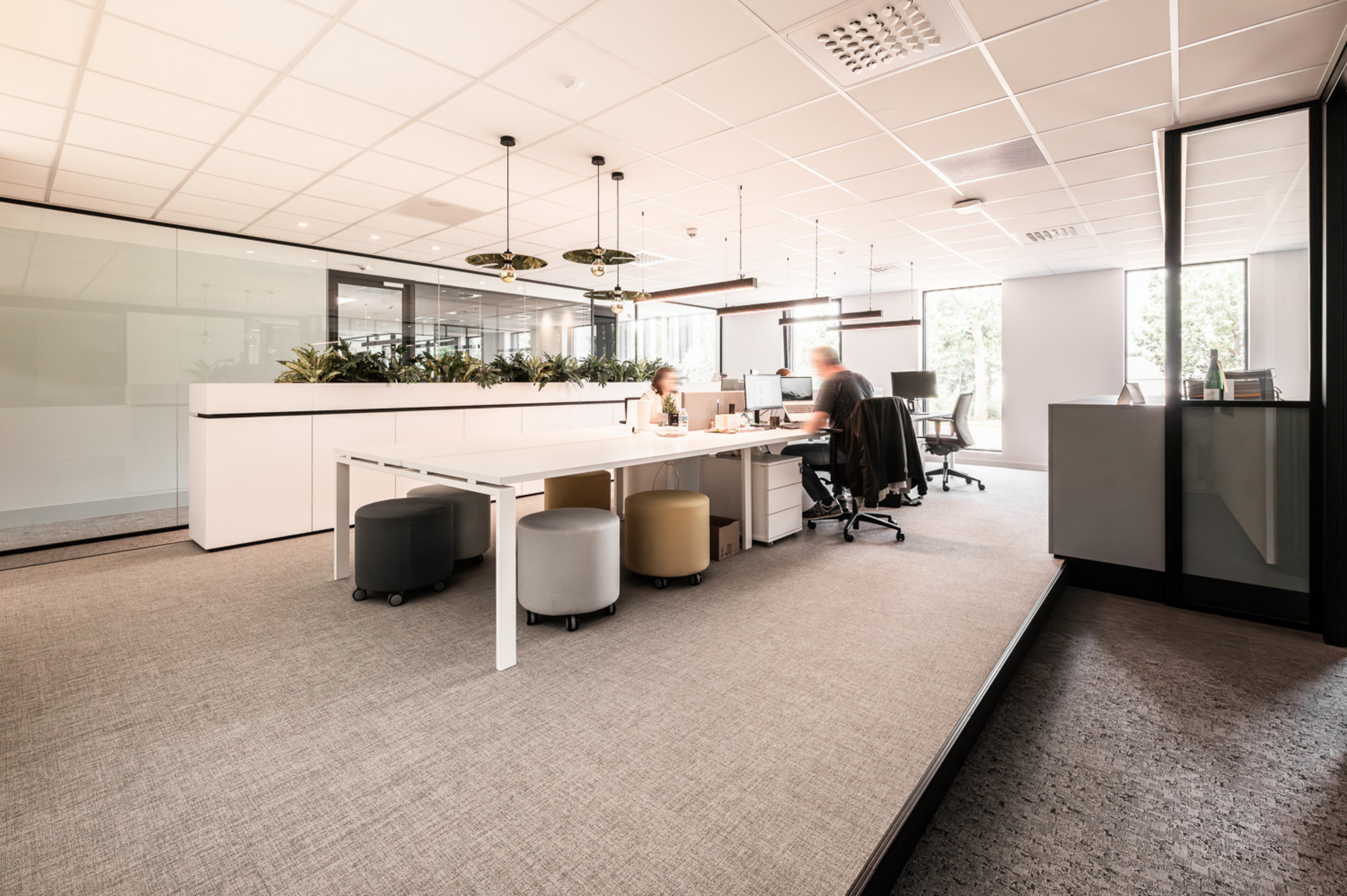 NTGRATE DIEST HAROL WEB 20230703 0016