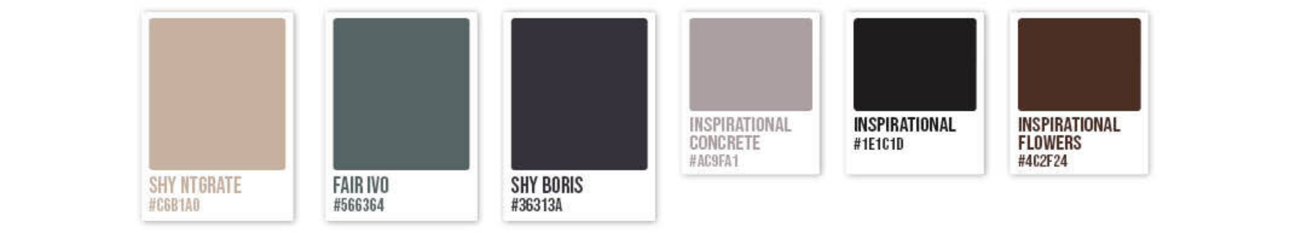 Acctive moodboard hex codes