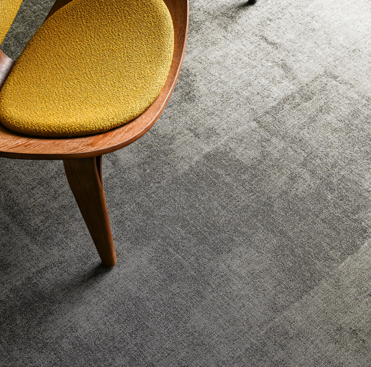 Ntgrate shy vera atmosphere 01