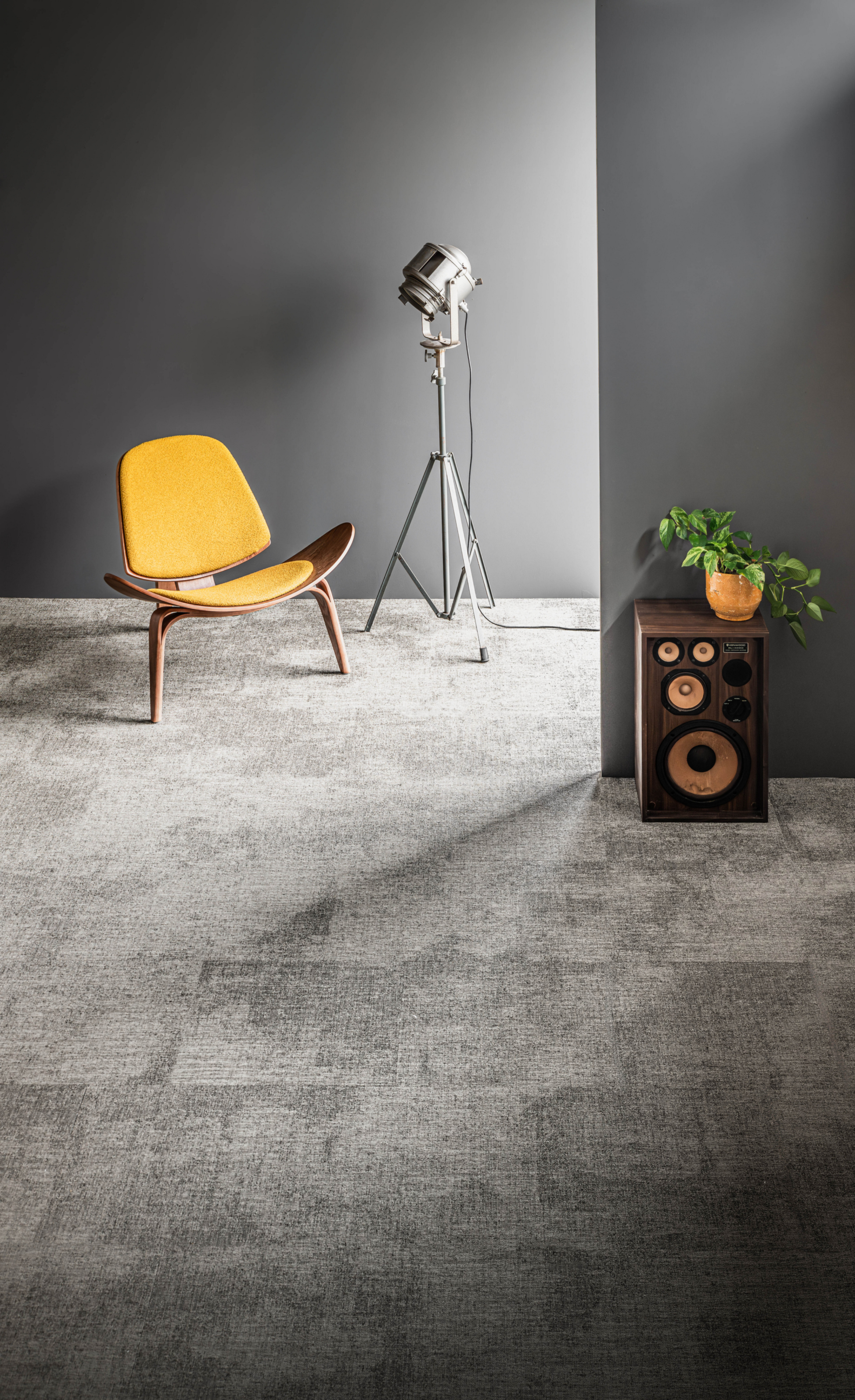 NTGRATE COLLECTIE 25 VERA FULL 20250129 0003