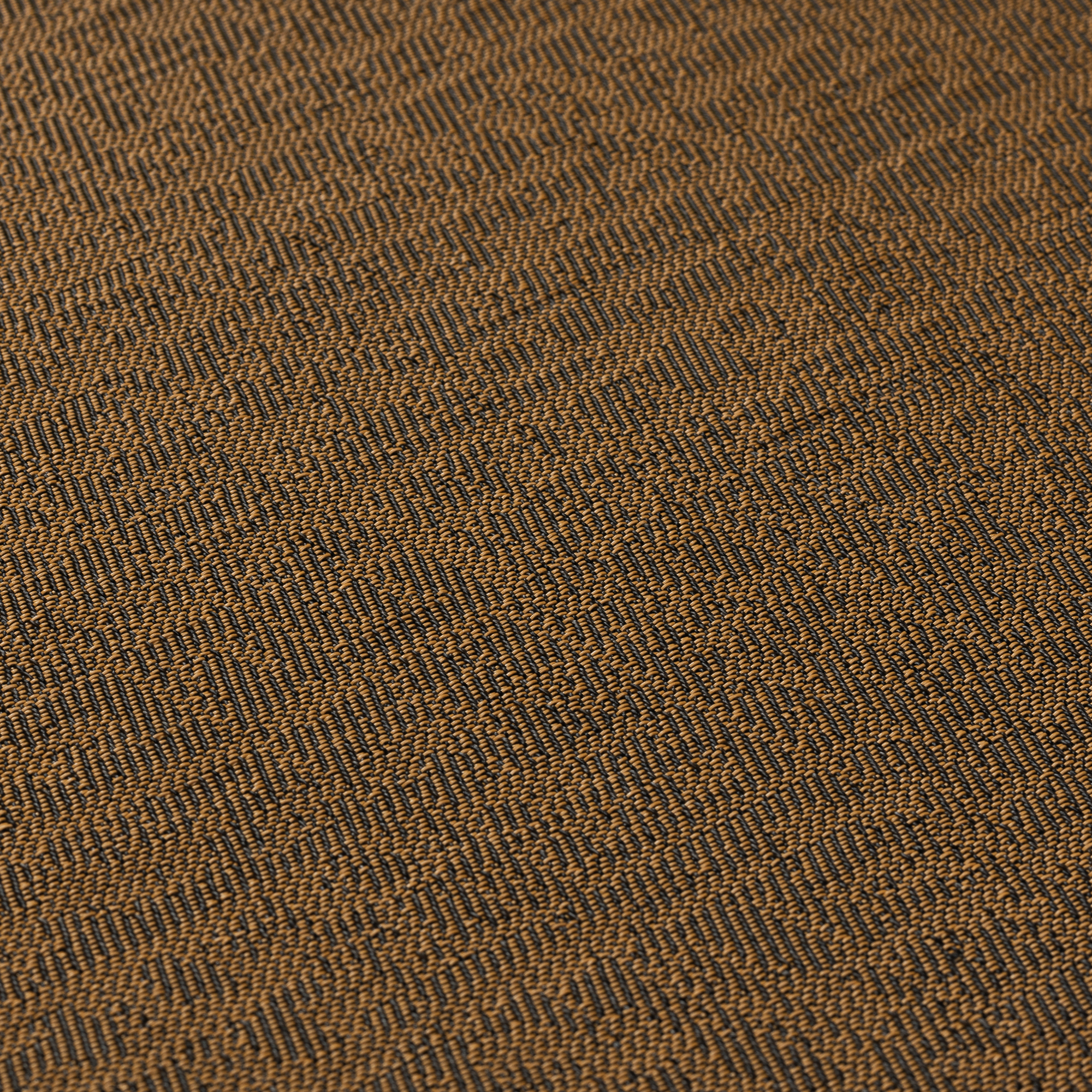 Ginger | ntgrate