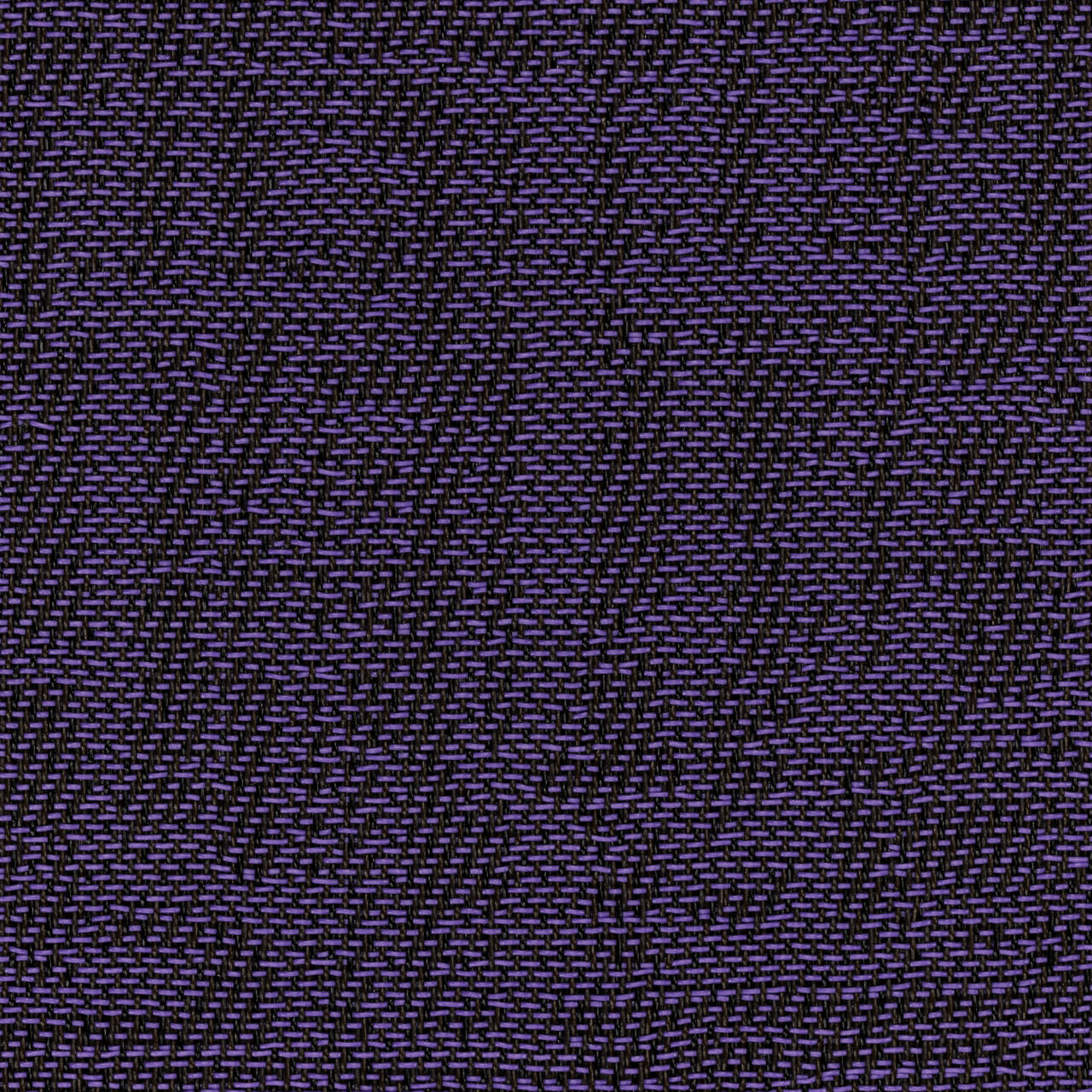 FAIR VIOLA 1