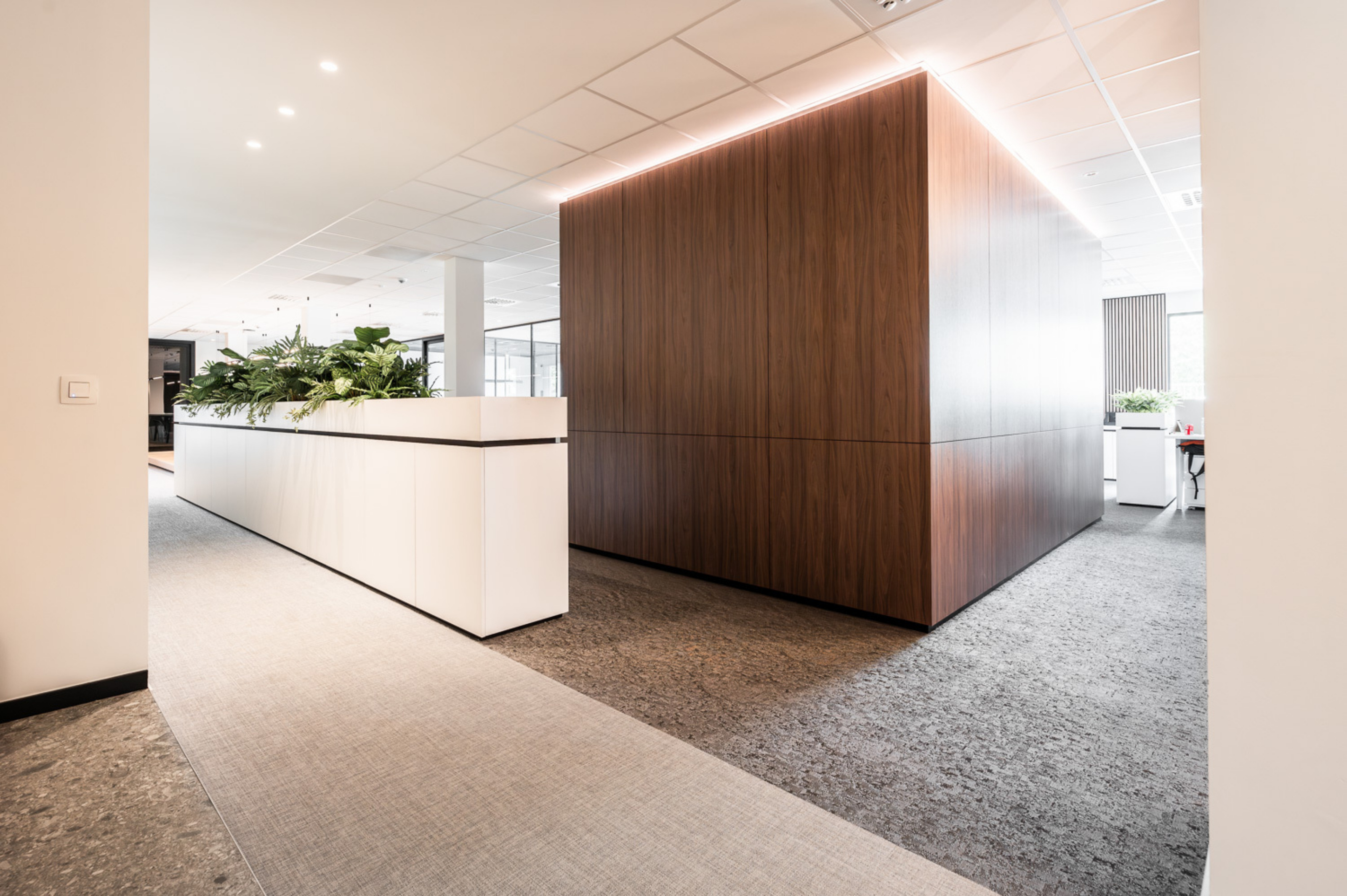 NTGRATE DIEST HAROL WEB 20230703 0025