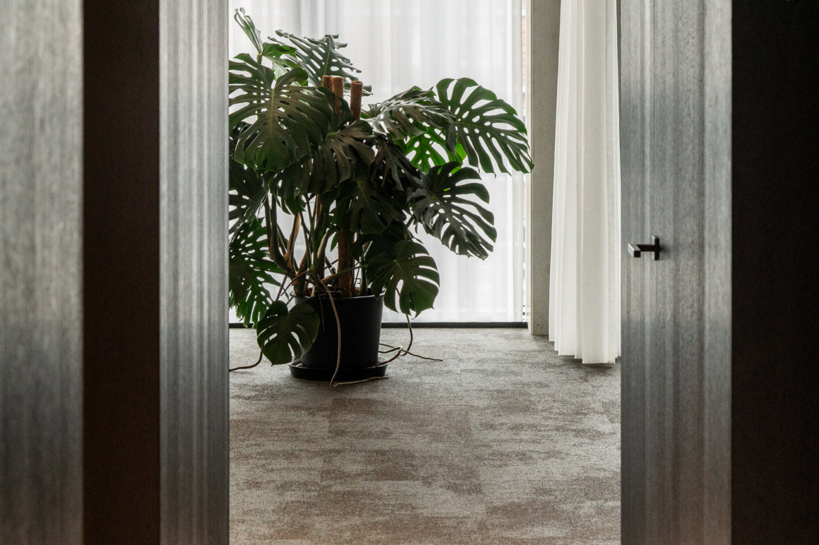 Ntgrate office project sonar shy sonar rebel lowres 37